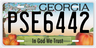 GA license plate PSE6442