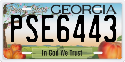 GA license plate PSE6443