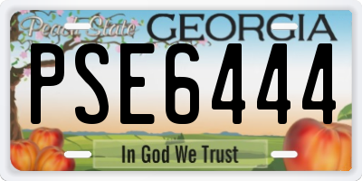 GA license plate PSE6444