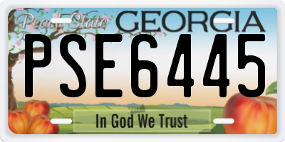 GA license plate PSE6445