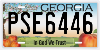 GA license plate PSE6446
