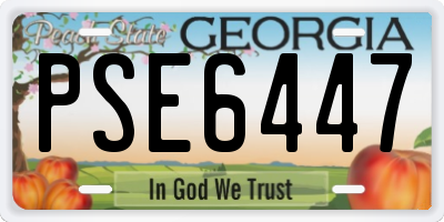 GA license plate PSE6447