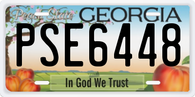 GA license plate PSE6448