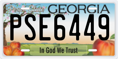 GA license plate PSE6449