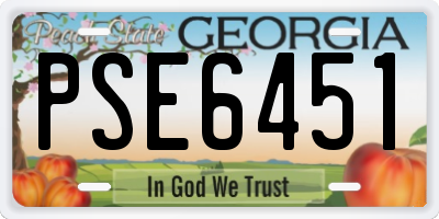 GA license plate PSE6451