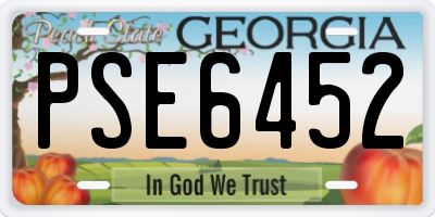 GA license plate PSE6452