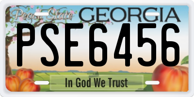 GA license plate PSE6456