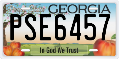 GA license plate PSE6457