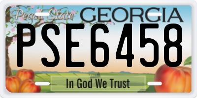 GA license plate PSE6458