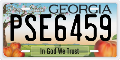 GA license plate PSE6459