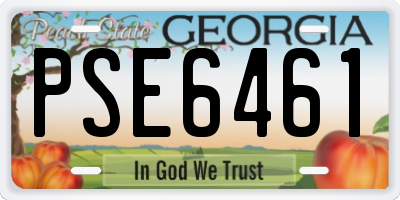 GA license plate PSE6461