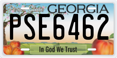 GA license plate PSE6462