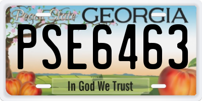 GA license plate PSE6463