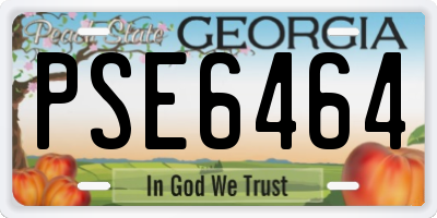 GA license plate PSE6464