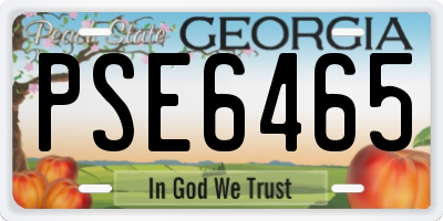 GA license plate PSE6465