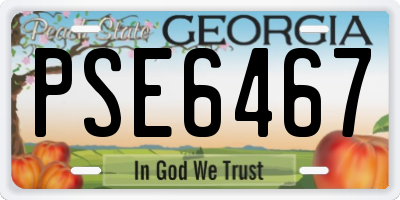 GA license plate PSE6467