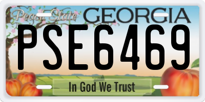 GA license plate PSE6469