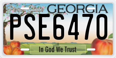 GA license plate PSE6470