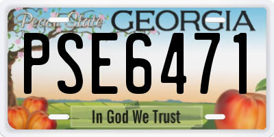 GA license plate PSE6471