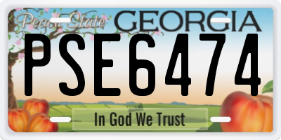 GA license plate PSE6474