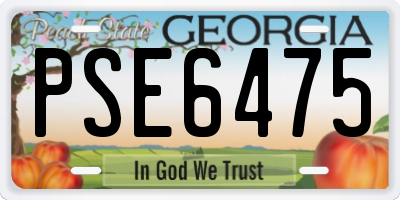 GA license plate PSE6475