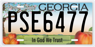 GA license plate PSE6477