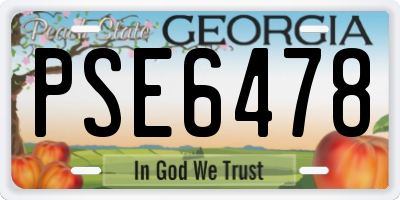 GA license plate PSE6478