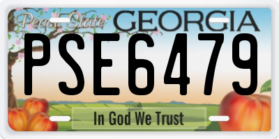 GA license plate PSE6479