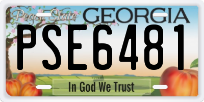 GA license plate PSE6481