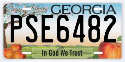 GA license plate PSE6482