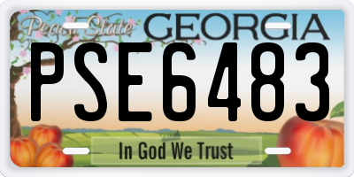GA license plate PSE6483