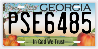 GA license plate PSE6485