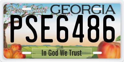 GA license plate PSE6486