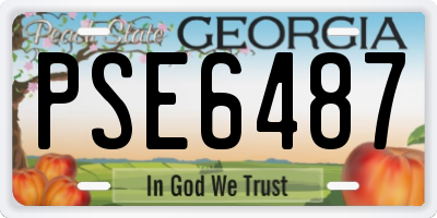 GA license plate PSE6487