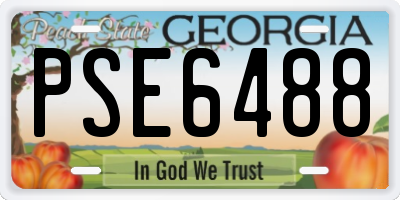 GA license plate PSE6488