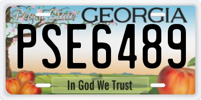 GA license plate PSE6489
