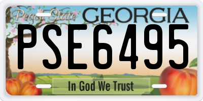 GA license plate PSE6495