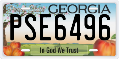 GA license plate PSE6496
