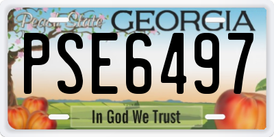 GA license plate PSE6497