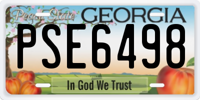 GA license plate PSE6498
