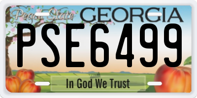 GA license plate PSE6499