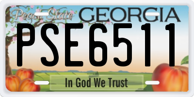 GA license plate PSE6511