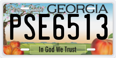 GA license plate PSE6513