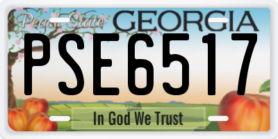 GA license plate PSE6517