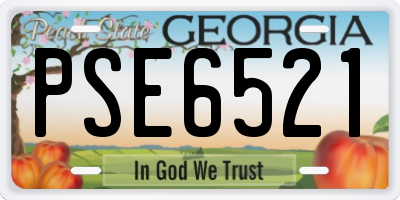 GA license plate PSE6521