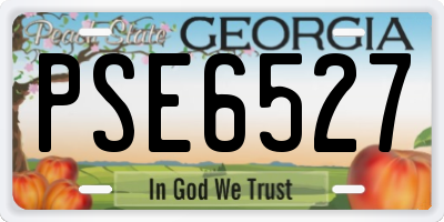 GA license plate PSE6527