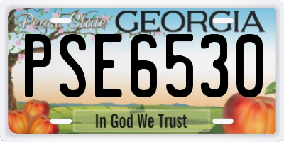 GA license plate PSE6530