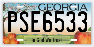 GA license plate PSE6533