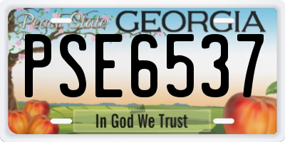 GA license plate PSE6537