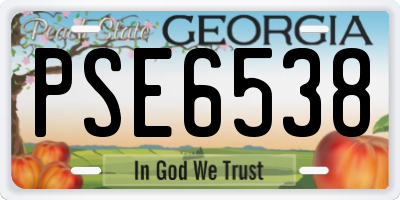 GA license plate PSE6538